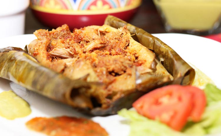 Delia's Tamales Veracruzano Pork